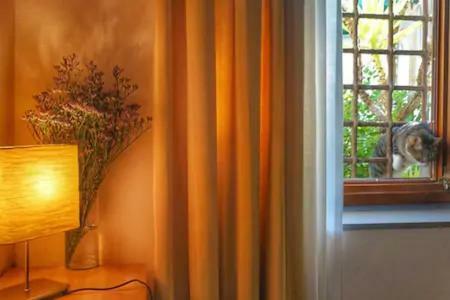 Perfect Location In Center Apartment Florence Exterior photo